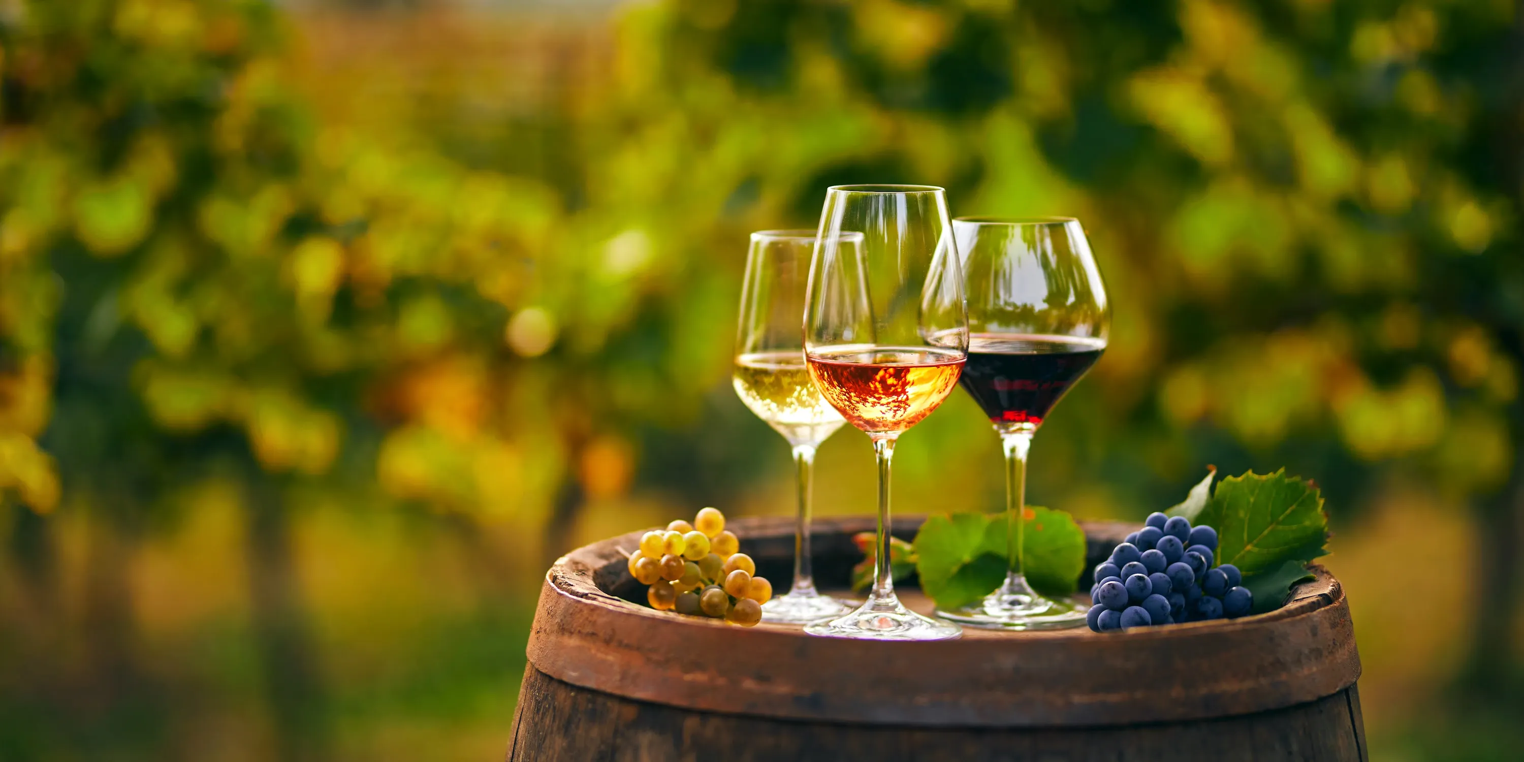 Skåne vin & konst, 4 dagar