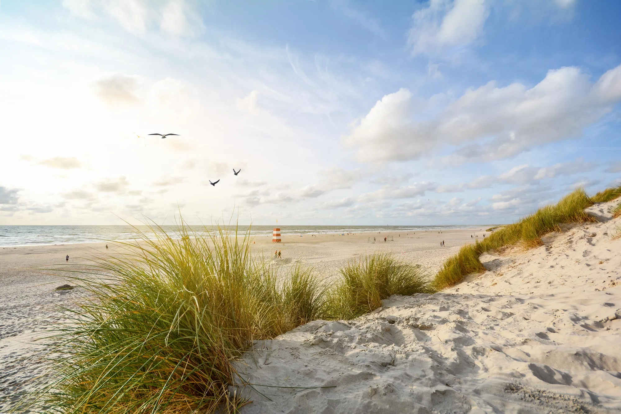 Skagen Över Dagen
