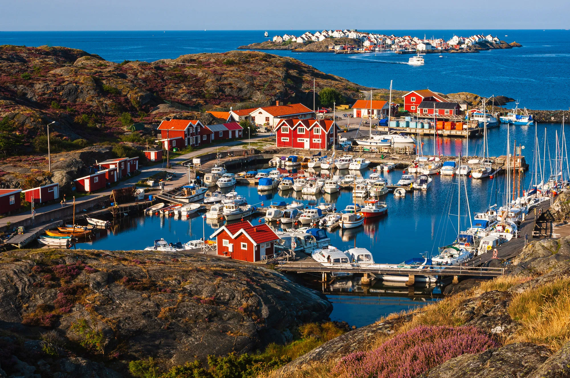 Dyrön och Åstol