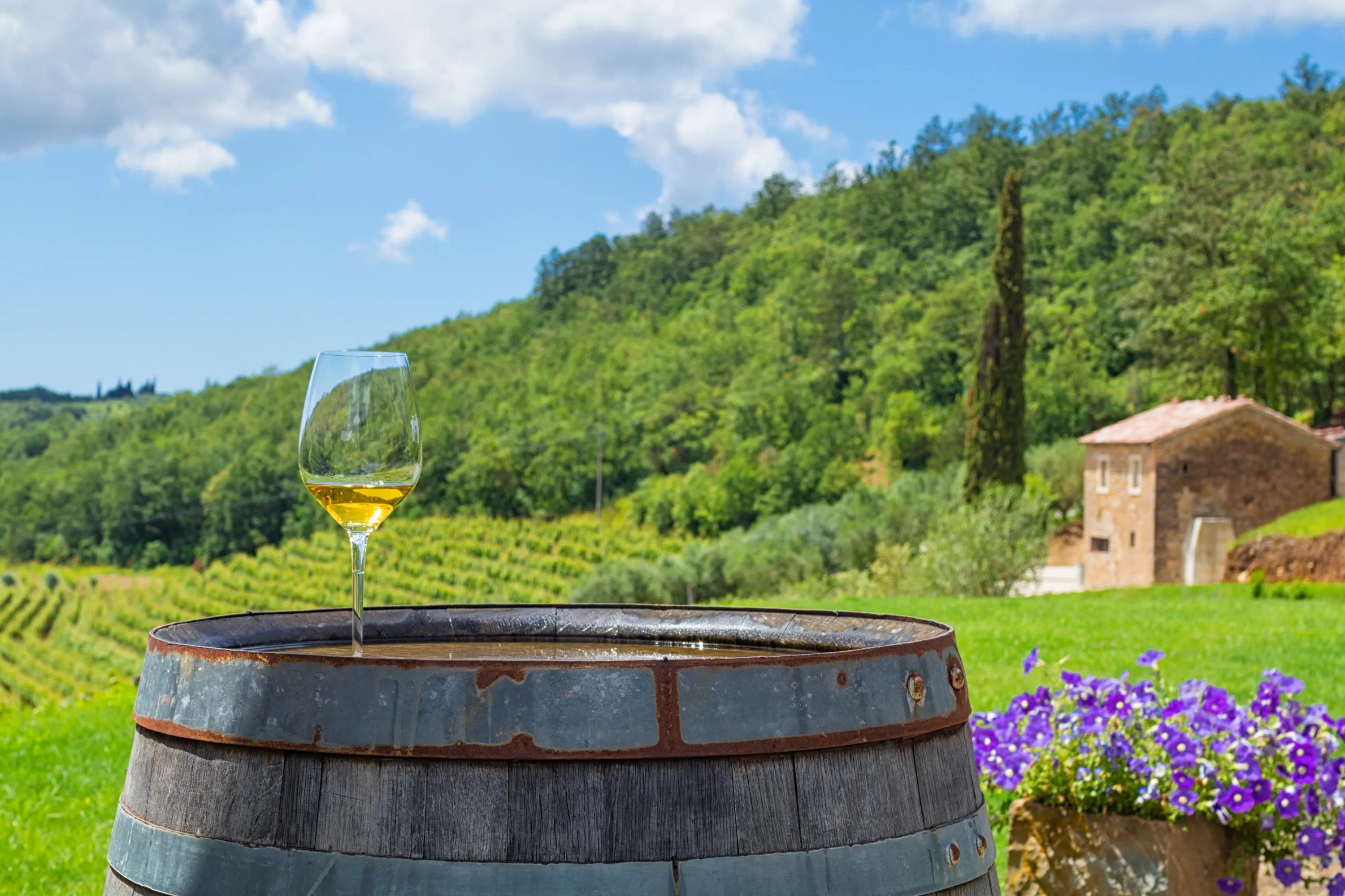 Kroatia Dalmatia Mat & Vin