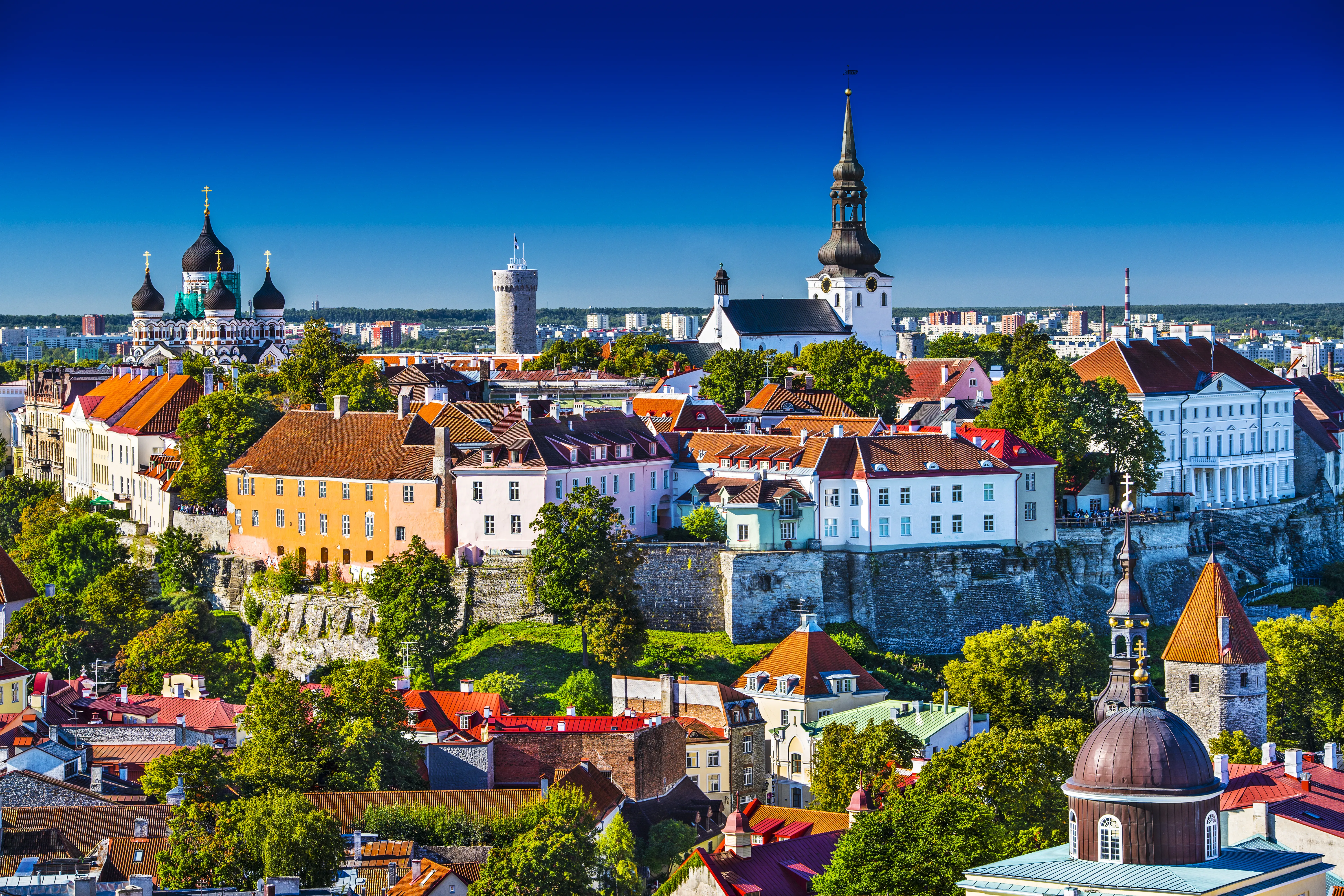 Singelreise Tallinn & Nordkysten