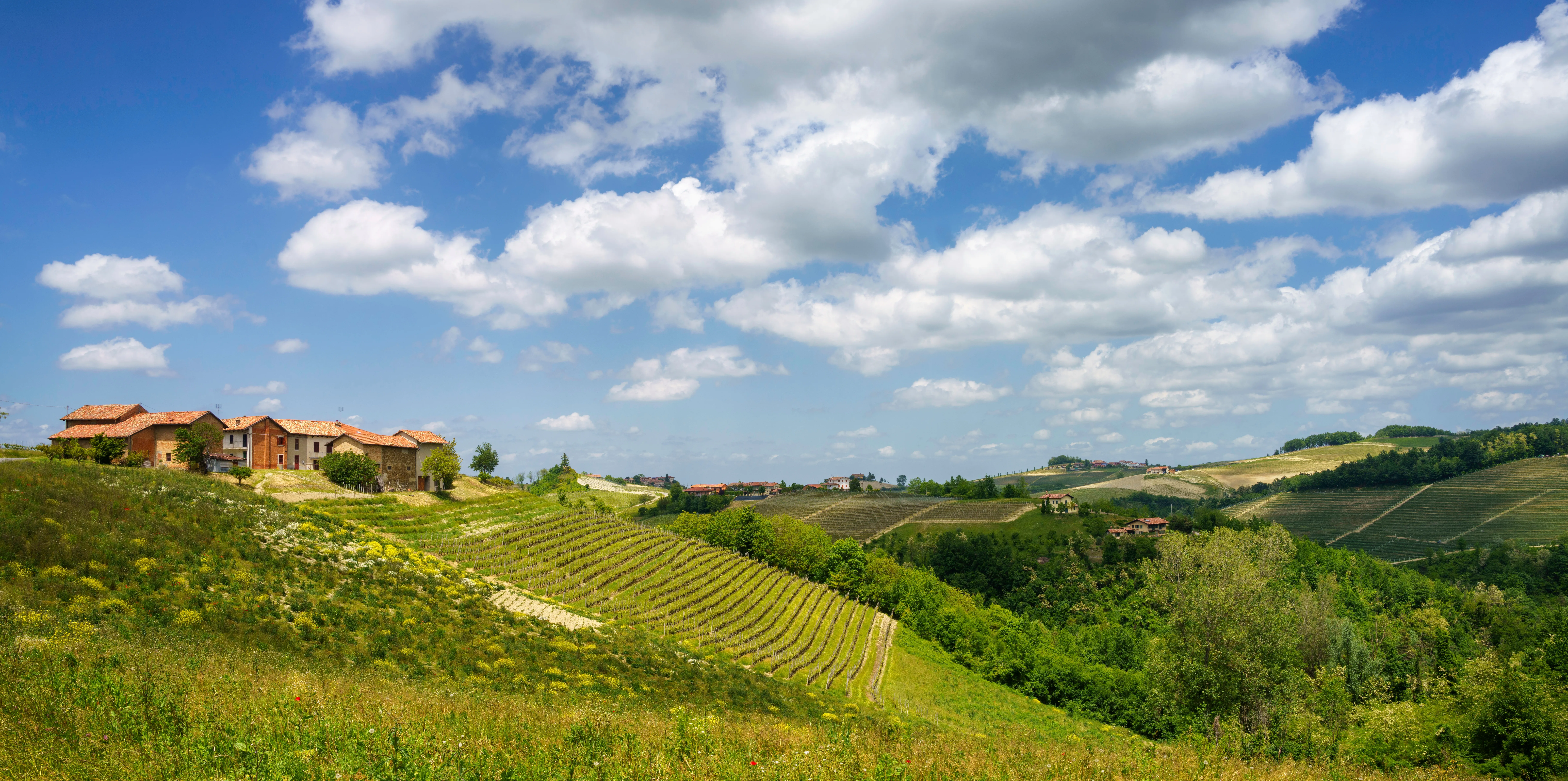 Vinvandring Piemonte med Barolo