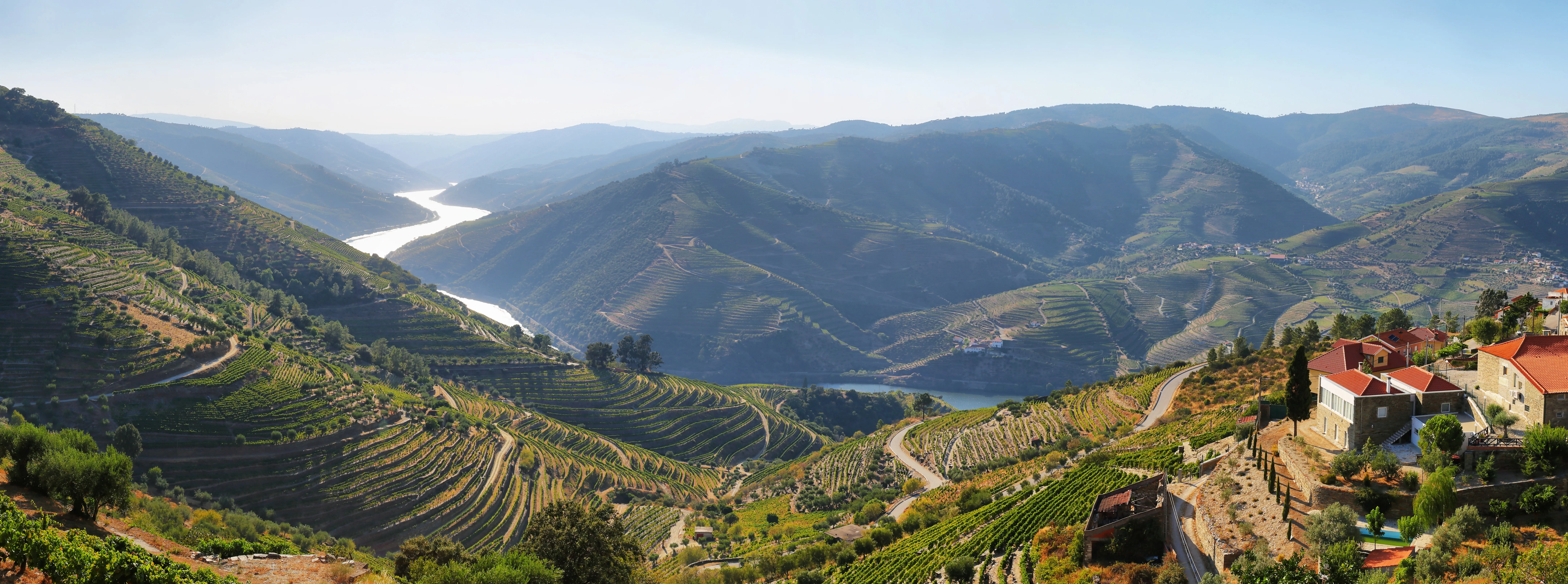 Cruise Douro