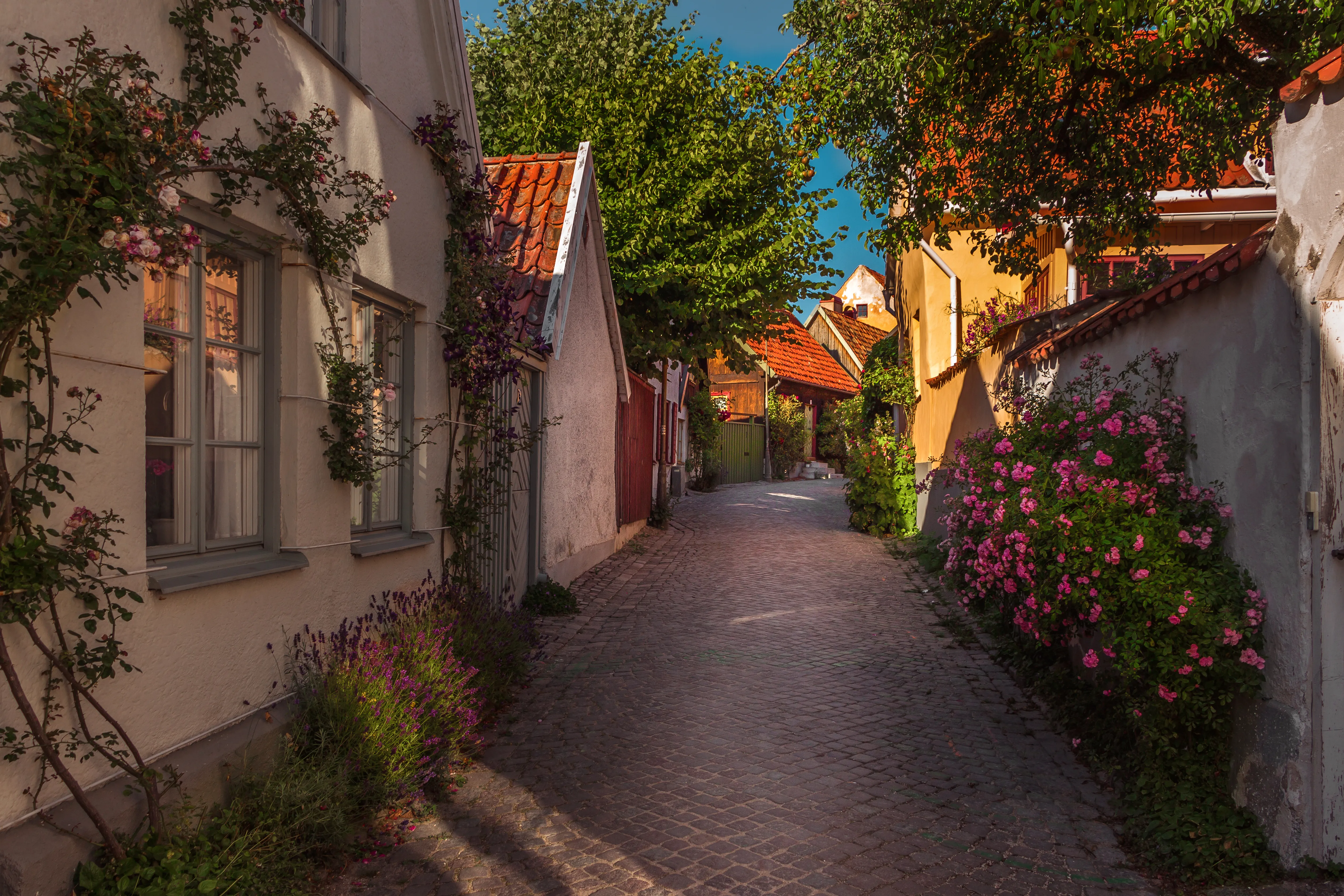 Kryssning Visby