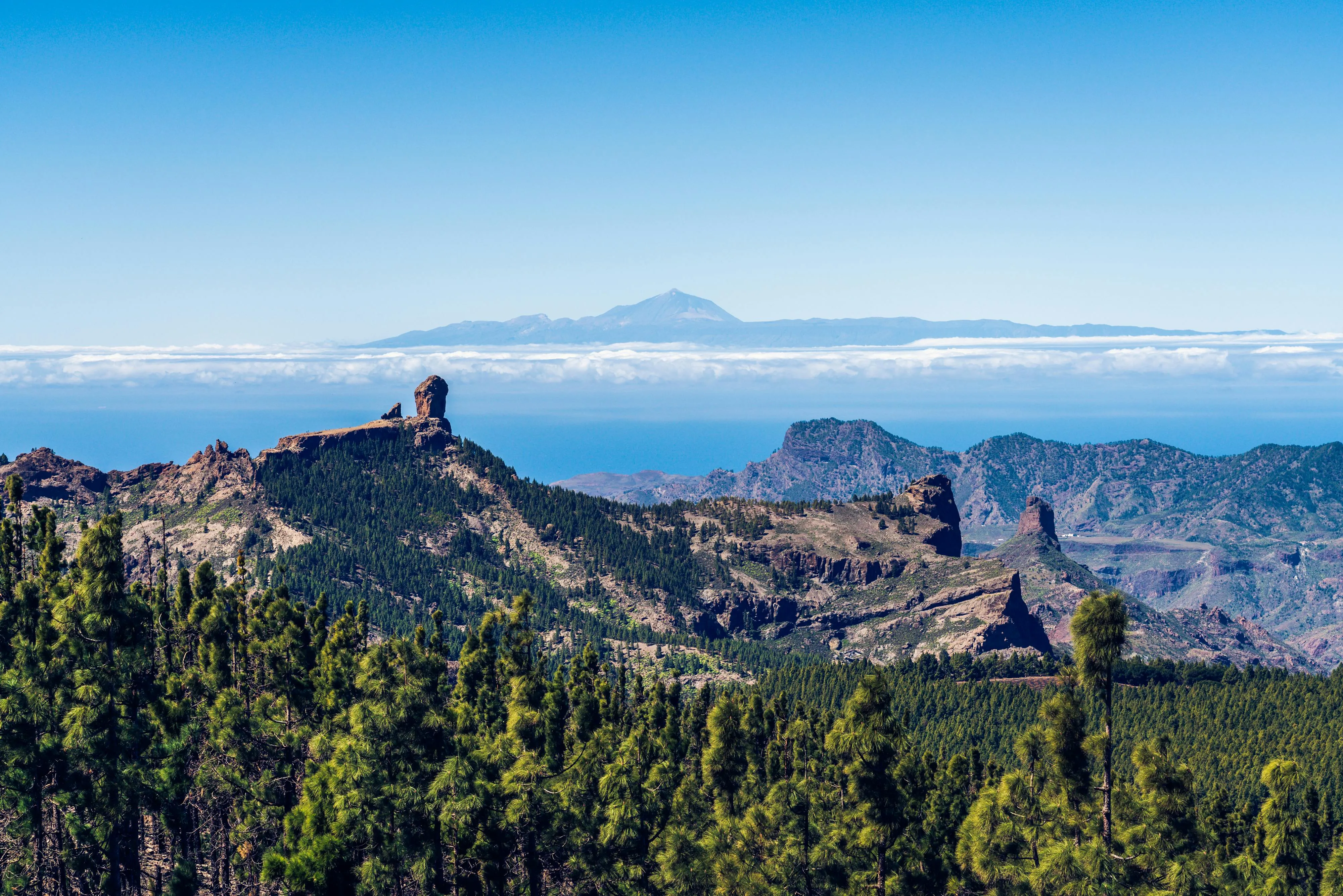 Singelresa Vandring Gran Canaria