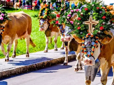 Österrike Folkfest