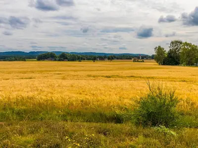 Gårdar i Halland