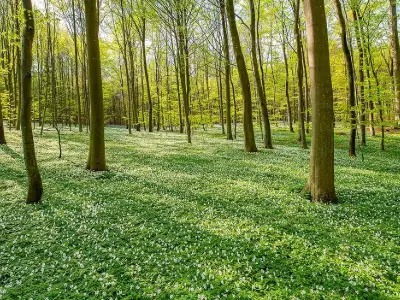 Vandring Kinnekulle