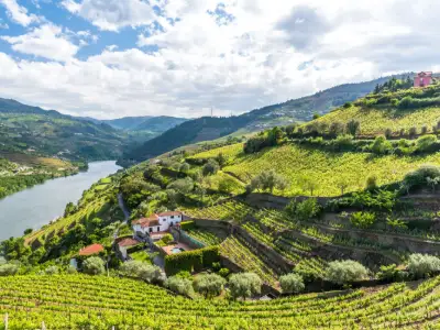 Portugal vinreise