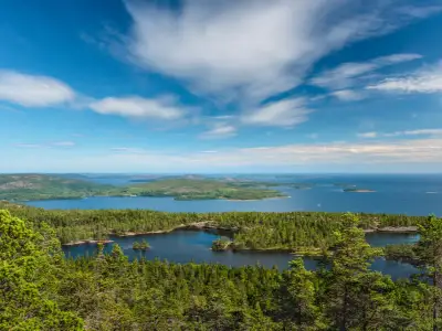 Kryssning Höga kusten