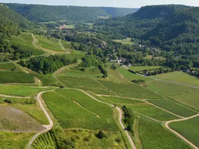 Franske vinruter