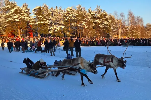 Till Jokkmokks vintermarknad som ensamresenär