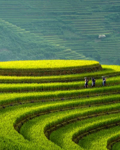 Visum och Inresekrav Vietnam