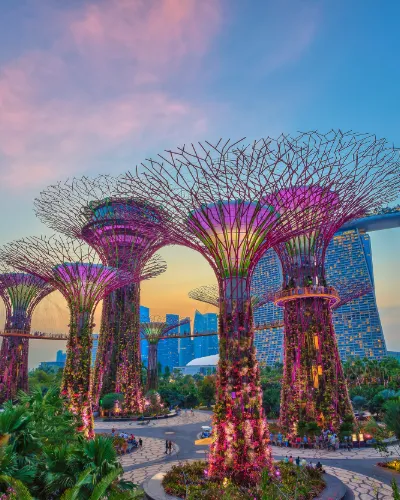 Visum och Inresekrav Singapore