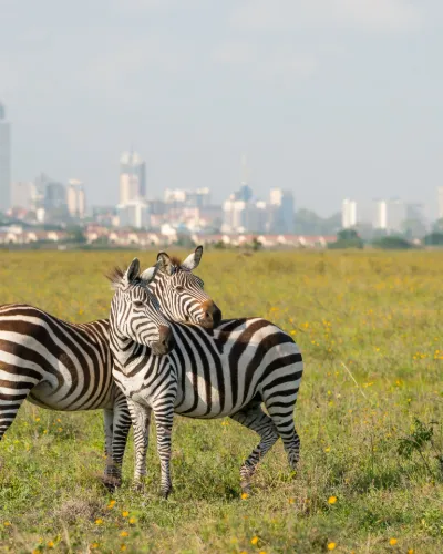 Visum Kenya