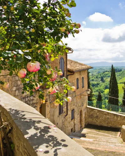En berättelse från Toscana