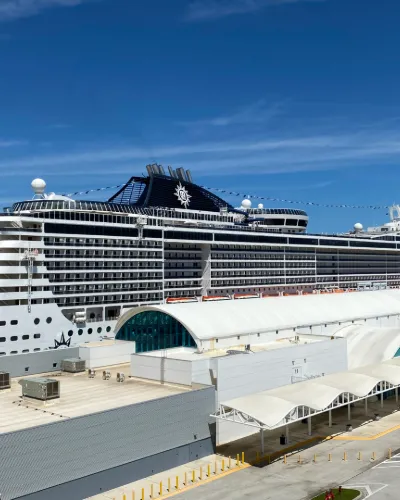 Divina by MSC