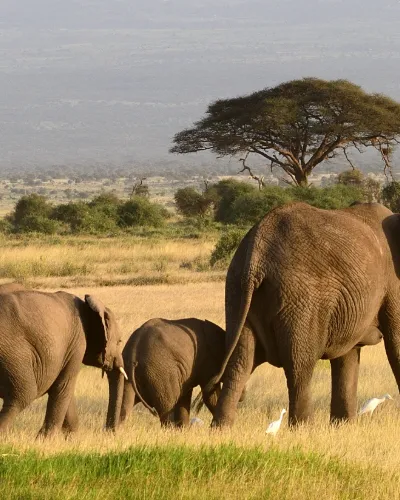Kenya