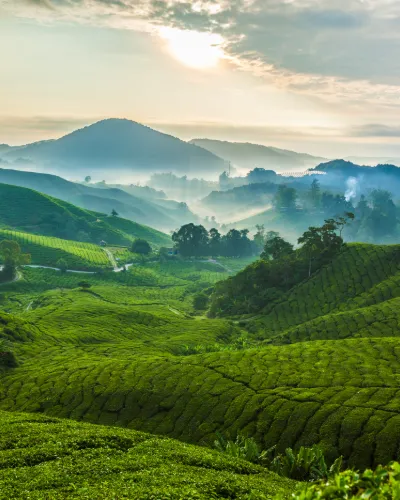 Langtidsferie Malaysia & Borneo