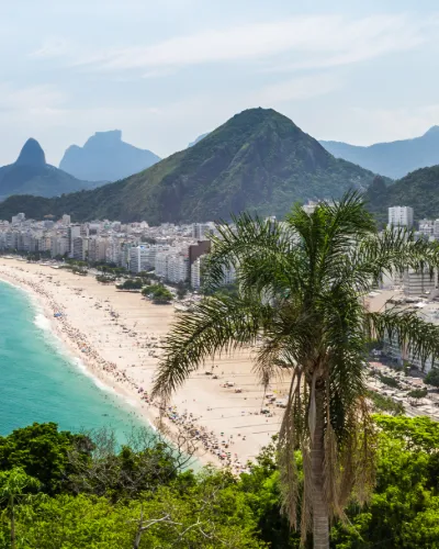 Store Brasil