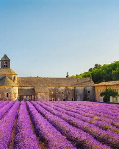 Vandring Provence
