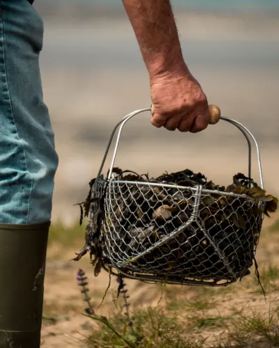 Musselsafari