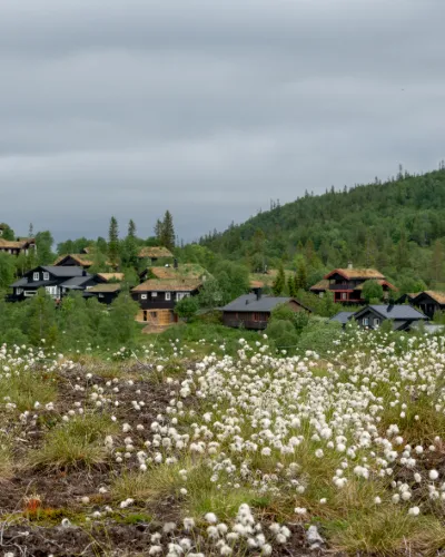 Fjordar, fjäll och dalar