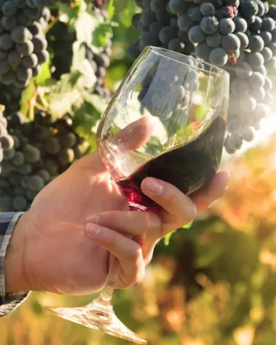 Italien vinresa
