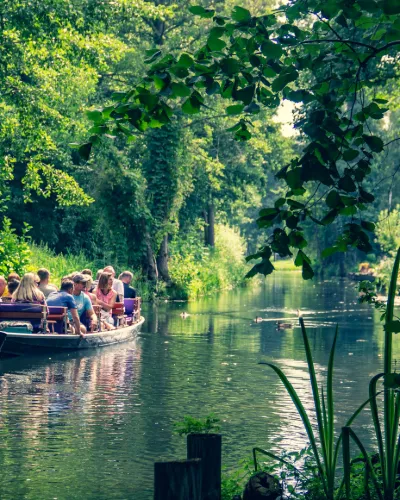 Spreewald, sparris och vin