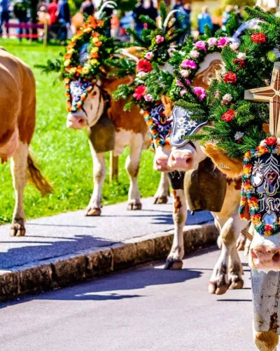 Österrike Folkfest