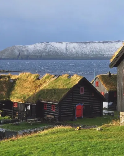 Vikingakryssning