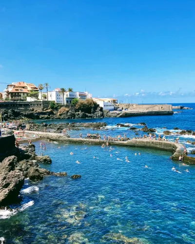 Singelreise Tenerife Vinreise