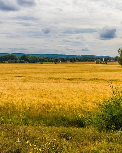 Gårdar i Halland