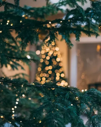 Julstämning i Skaraborg