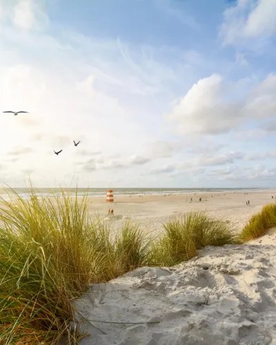 Skagen Över Dagen