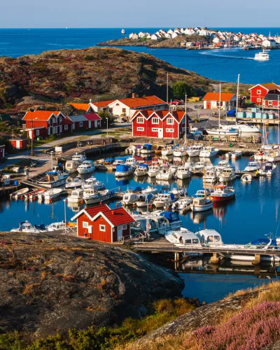 Dyrön och Åstol
