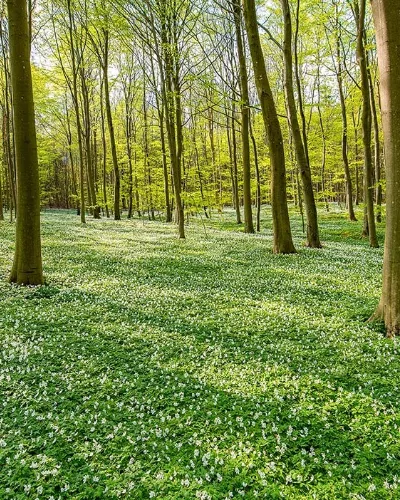 Vandring Kinnekulle