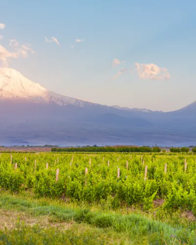 Armenia Vinreise