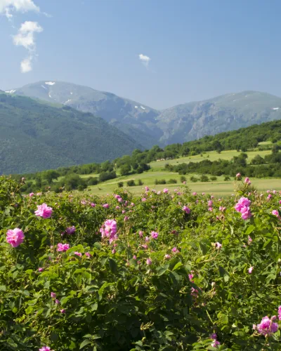 Bulgarien & Rumänien
