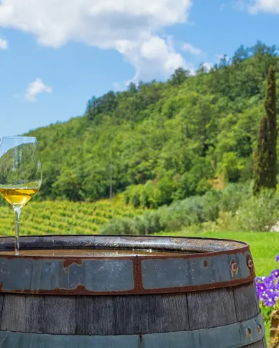 Kroatia Dalmatia Mat & Vin