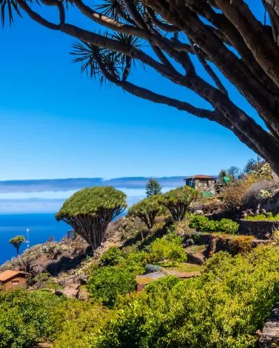 Vandring La Palma 