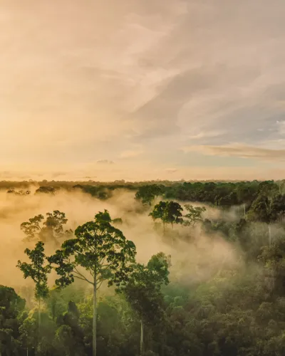 Malaysia och Borneo