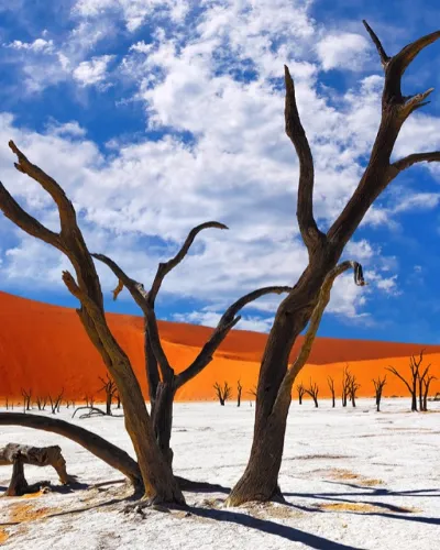 Namibia