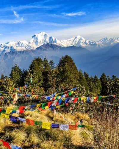 Poon Hill 