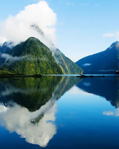 Store New Zealand