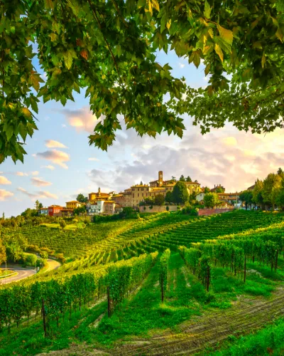Piemonte mat & vin