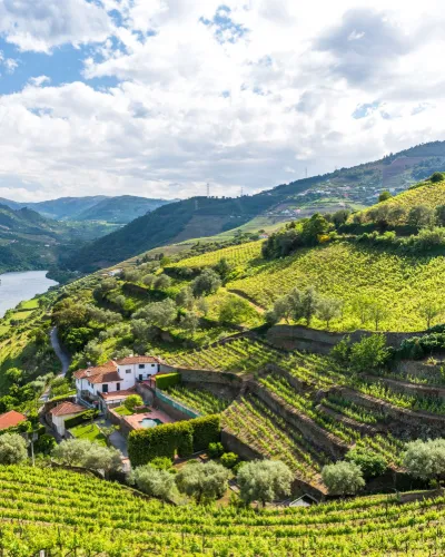 Portugal vinresa