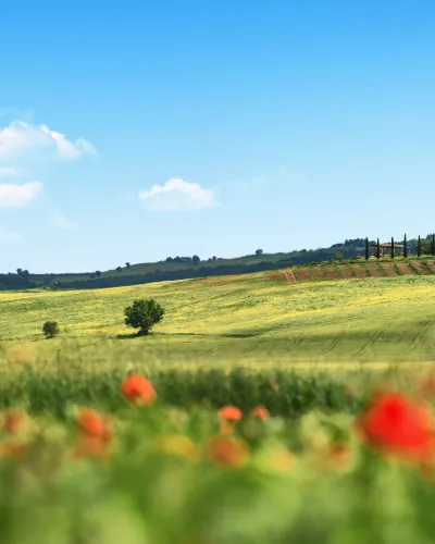 Toscana
