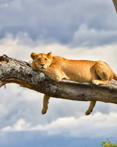 Tanzania & Zanzibar