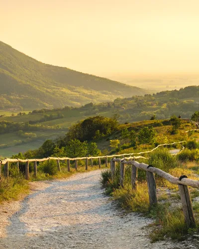Vinvandring Veneto